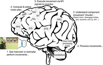 Complex Motor Learning and Police Training: Applied, Cognitive, and Clinical Perspectives